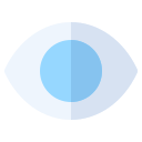 ojo icon