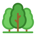 bosque icon