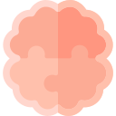 cerebro icon