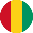 guinea icon