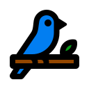 pájaro icon