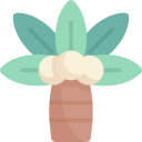 palmera icon