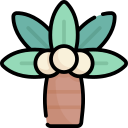 palmera icon