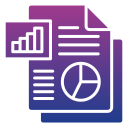 informe seo