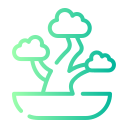 bonsai icon