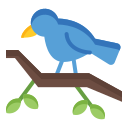 pájaro icon