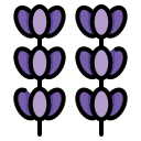 lavanda icon