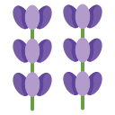 lavanda icon