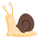 caracol