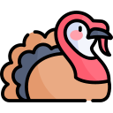 pavo icon