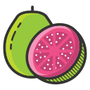 guayaba icon