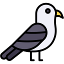 gaviota icon