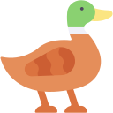 pato icon