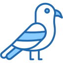 gaviota icon