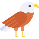 Águila icon