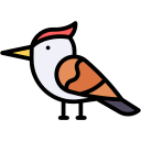 pájaro carpintero icon