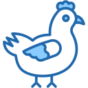 gallina icon