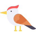 pájaro carpintero icon