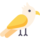 Cacatúa icon