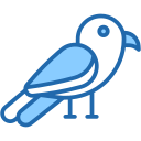 loro icon