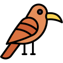 pájaro icon