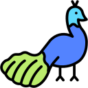 pavo real icon