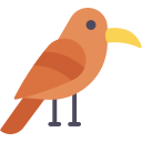 pájaro icon