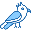 Cacatúa icon