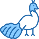 pavo real icon