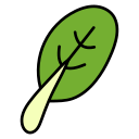 bok choy icon