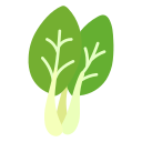 bok choy 