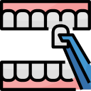 dental 
