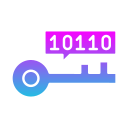 programación clave icon