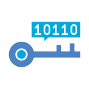 programación clave icon