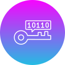 programación clave icon