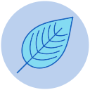 hoja icon