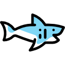 requin
