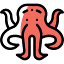 Octopus 
