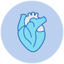 corazón icon