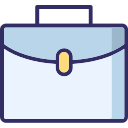 portafolio icon