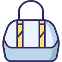 bolso icon