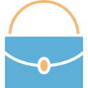 bolso icon