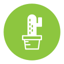 cacto icon