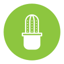 cacto icon