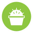 cacto icon