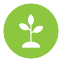 plantar icon