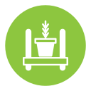 house plants icon
