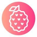 lychee icon