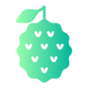 lychee icon