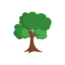 Árbol icon